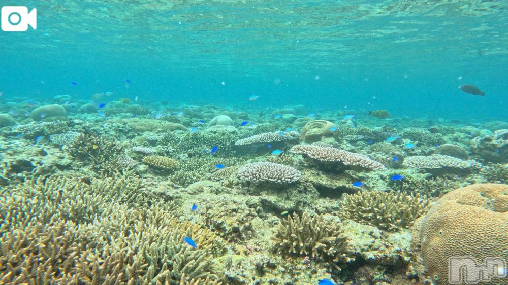 三条デリヘル新潟デリヘル倶楽部　三条店(ニイガタデリヘルクラブ　サンジョウテン) りん(20)の10月22日写メブログ「沖縄🌴🌺✈」