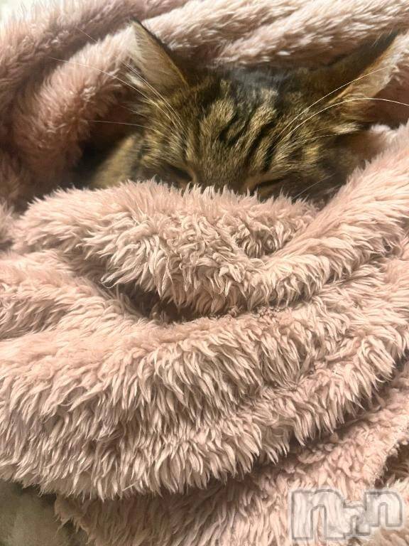 三条デリヘル新潟デリヘル倶楽部　三条店(ニイガタデリヘルクラブ　サンジョウテン) りん(20)の11月24日写メブログ「おはよぉー🫶」