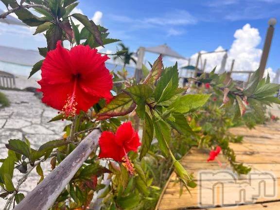 三条デリヘル新潟デリヘル倶楽部　三条店(ニイガタデリヘルクラブ　サンジョウテン)りん(20)の2025年10月24日写メブログ「今日寒すぎない🥹？」