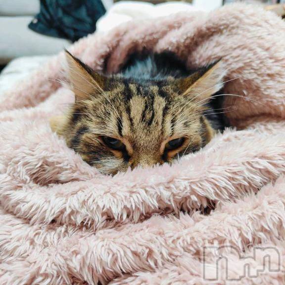 三条デリヘル新潟デリヘル倶楽部　三条店(ニイガタデリヘルクラブ　サンジョウテン)りん(20)の2025年11月30日写メブログ「おはよぉ☀️」