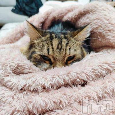 三条デリヘル 新潟デリヘル倶楽部　三条店(ニイガタデリヘルクラブ　サンジョウテン) りん(20)の11月30日写メブログ「おはよぉ☀️」