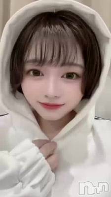 声が出るよ&#x1F431;