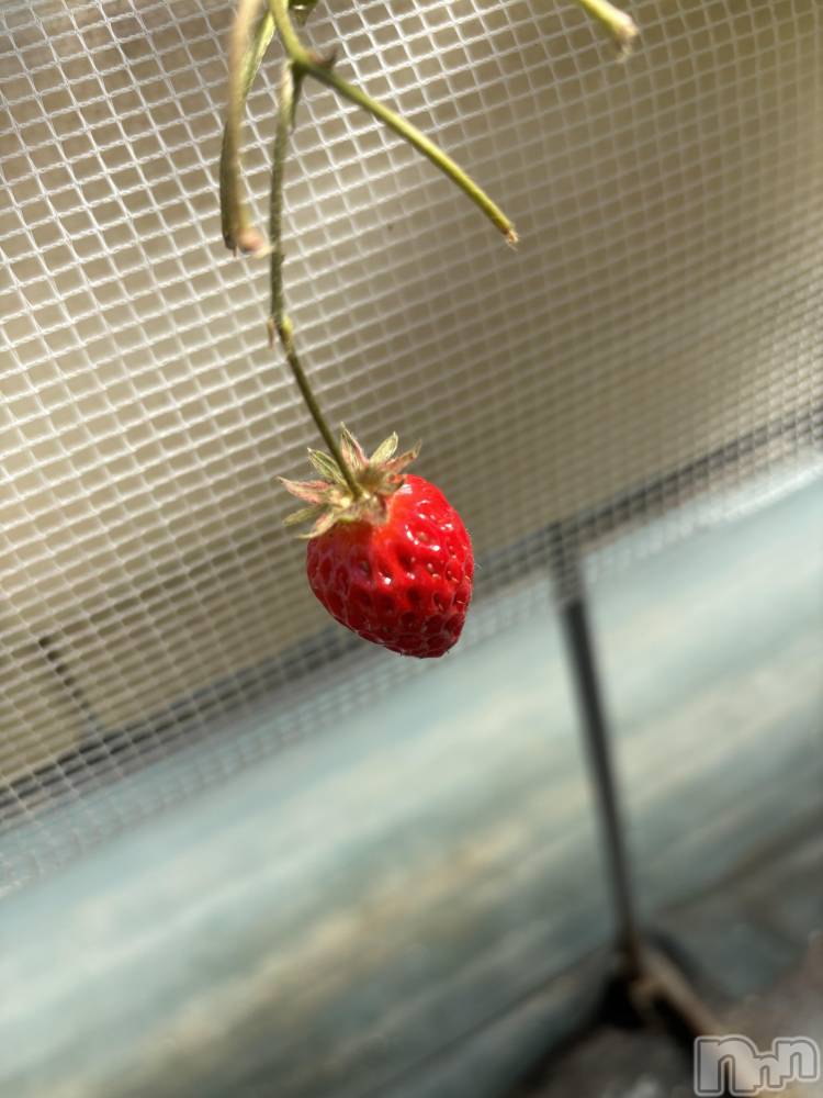 ��Ʋ����Х��顦�����Lounge Veranda(�饦�󥸥٥���) ���ޤ���3��24���̥�֥�����3��24�� 18��00ʬ�Υ֥�����