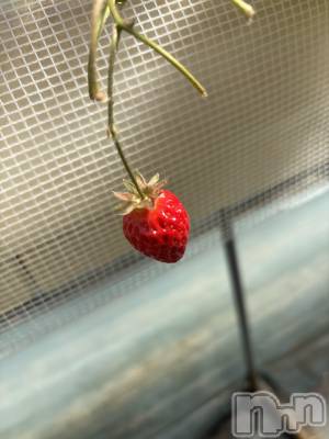 ��Ʋ����Х��顦�����FORTUNE LOUNGE(�ե��������饦��) ���ޤ�(20)��3��24���̥�֥�����3��24�� 18��00ʬ�Υ֥�����