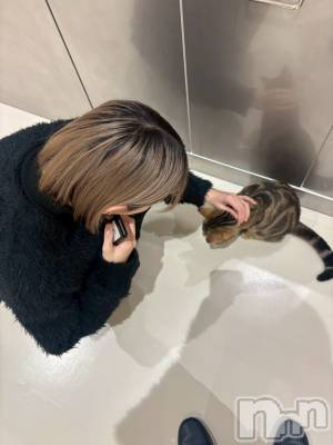 ��Ʋ����Х��顦�����Lounge Veranda(�饦�󥸥٥���) ���ꤵ(21)��2��4���̥�֥�����2��4�� 20��20ʬ�Υ֥�����