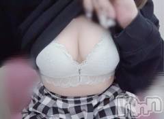 新潟デリヘルMelt(メルト) 【新人】さつき(19)の12月12日写メブログ「お誘い待ってます🎀」