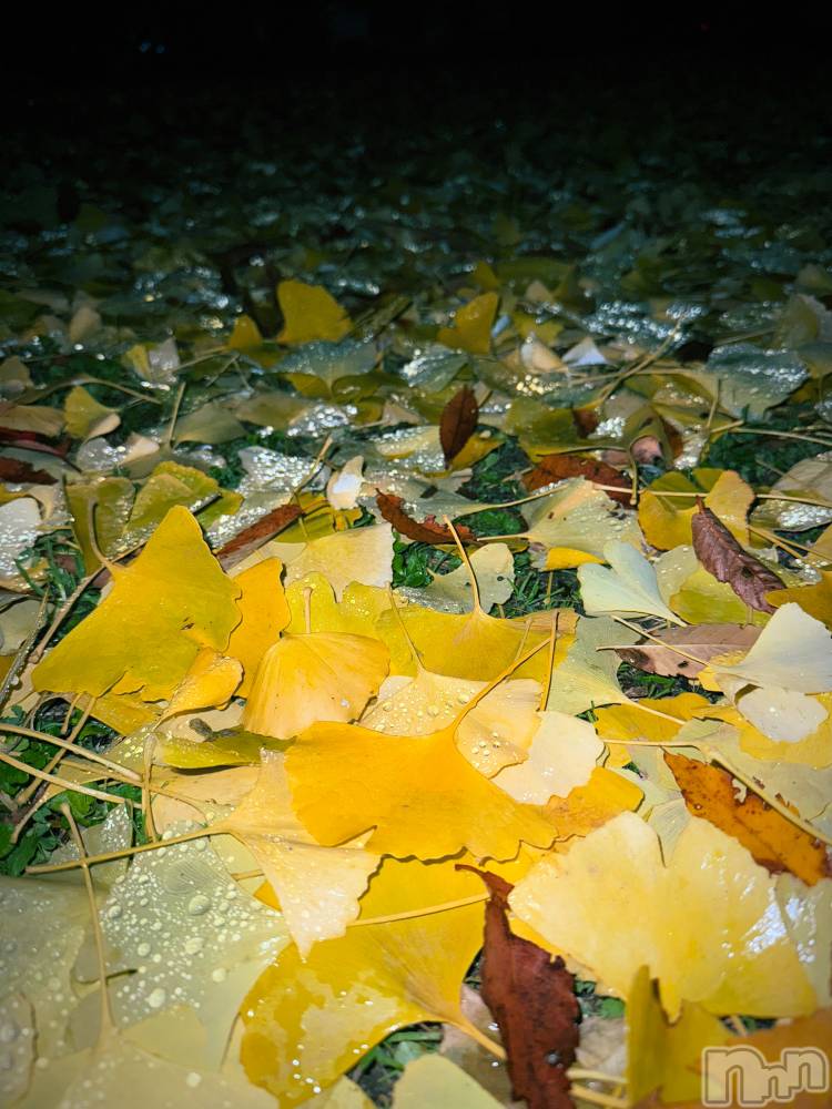 ƲХ顦K-Lounge(饦) ͤ1119̥֥Ϥޤʤ