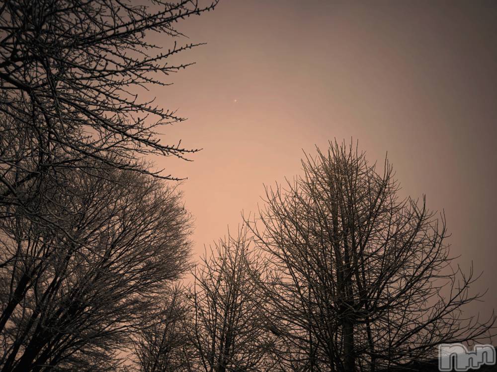 ƲХ顦K-Lounge(饦) ͤ125̥֥125 1941ʬΥ֥