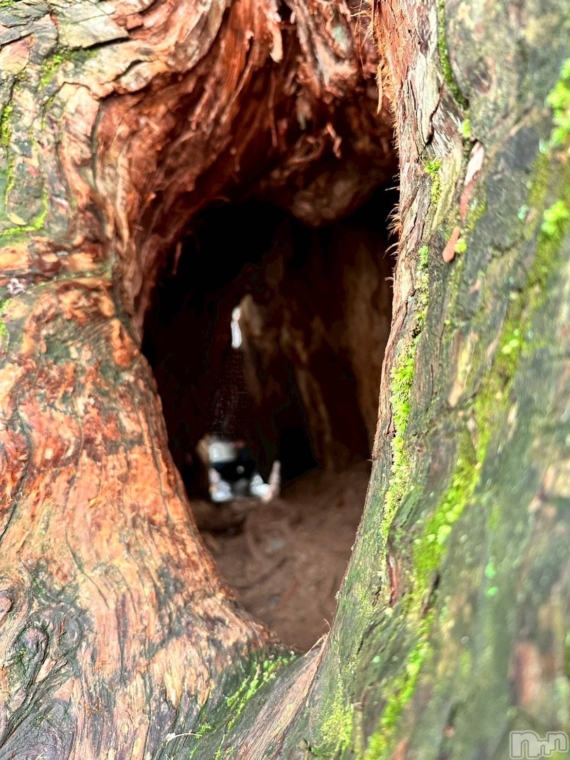 ƲХ顦K-Lounge(饦) 2025ǯ1112ָ̥֥ơ