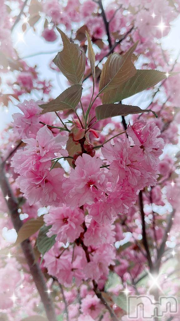 佐久発デリヘル佐久上田人妻隊(サクウエダヒトヅマタイ)あゆら(33)の2026年4月23日写メブログ「出勤日🌸*.+ﾟ」