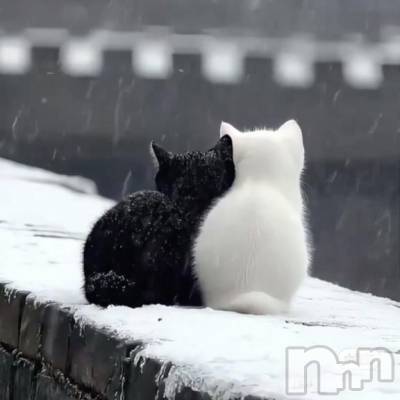 佐久発デリヘル 佐久上田人妻隊(サクウエダヒトヅマタイ) あゆら(33)の11月27日写メブログ「お詫び……(´；ω；｀)」