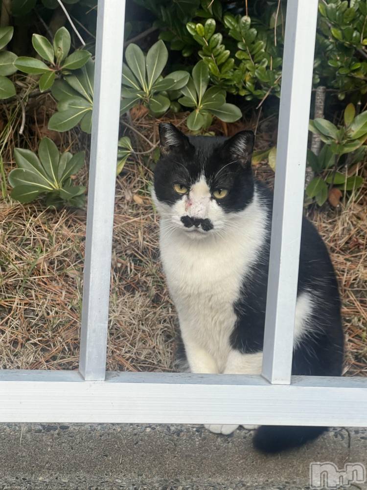 ��Į����Х��顦�����club Diana(����֥ǥ�����) �ʤĤߤ�1��9���̥�֥����֤������ˡ�