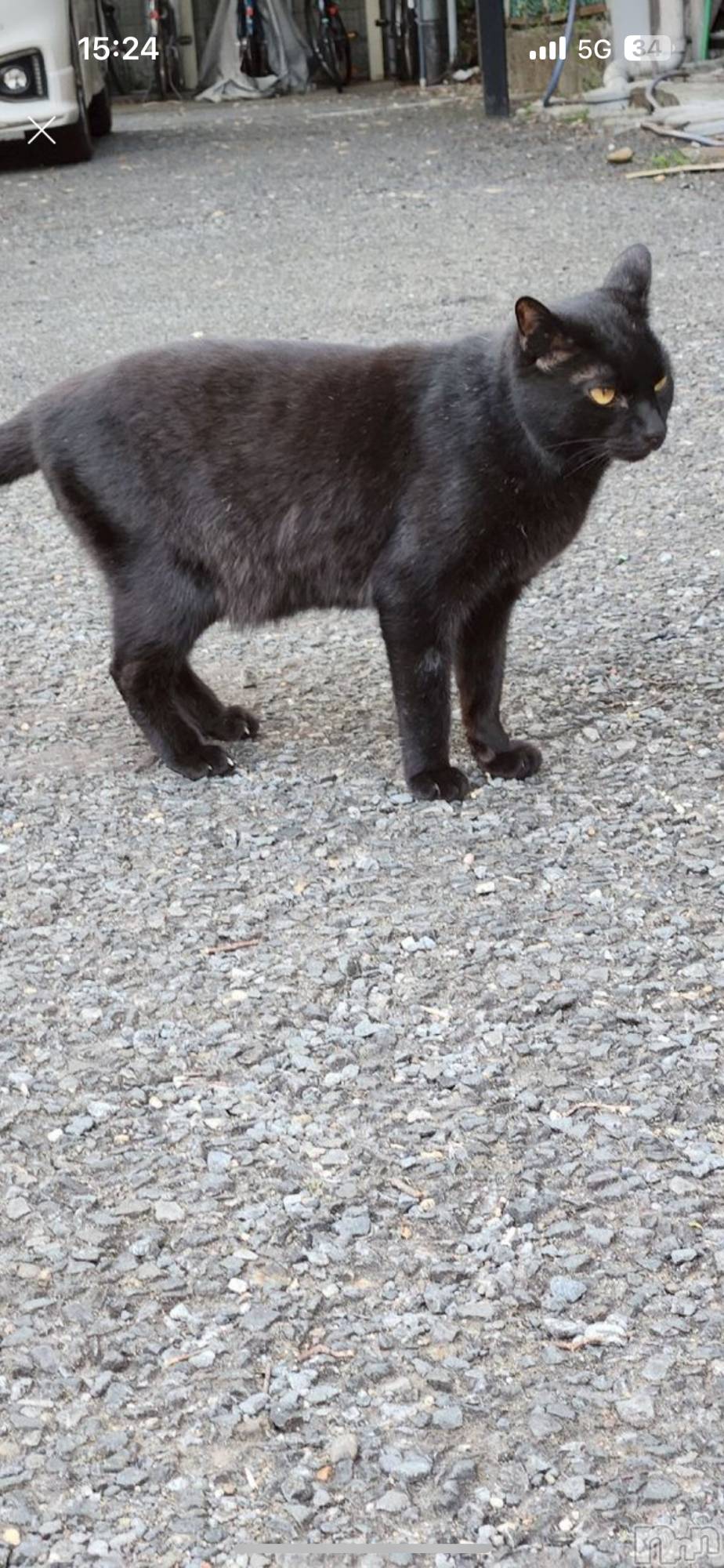 ĮХ顦club Diana(֥ǥ) 2025ǯ1126̥֥֤ͤ