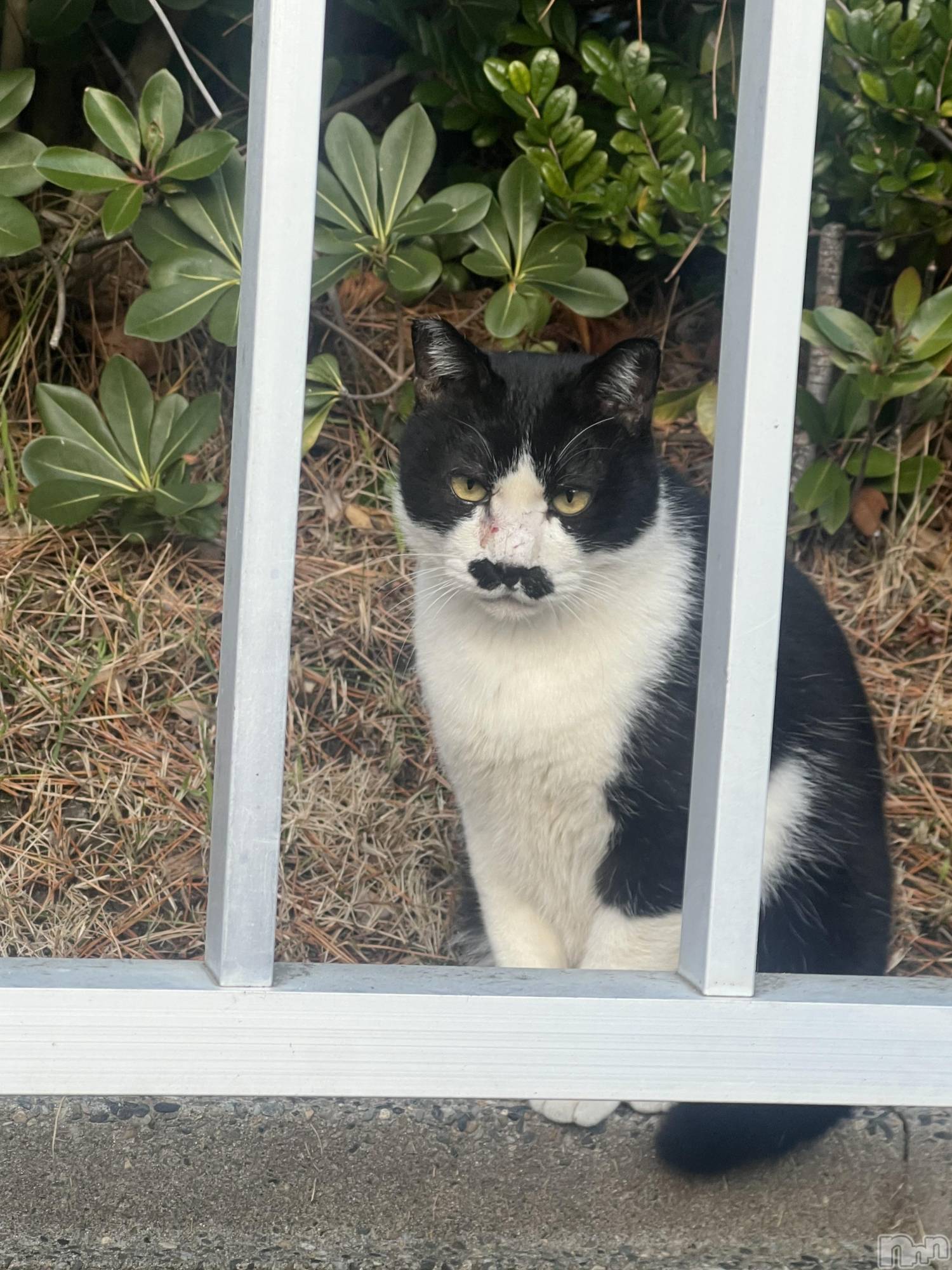 ��Į����Х��顦�����club Diana(����֥ǥ�����) ��2026ǯ1��9���̥�֥����֤������ˡ�