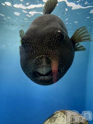 ĮХ顦club Diana(֥ǥ) ʤĤߤ1025ֵ̥֥פ֤Ρ