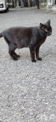 ĮХ顦club Diana(֥ǥ) ʤĤߤ1126̥֥֤ͤ