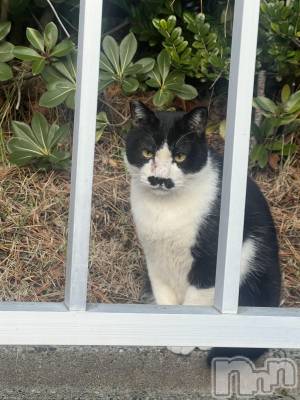 ��Į����Х��顦�����club Diana(����֥ǥ�����) �ʤĤߤ�1��9���̥�֥����֤������ˡ�