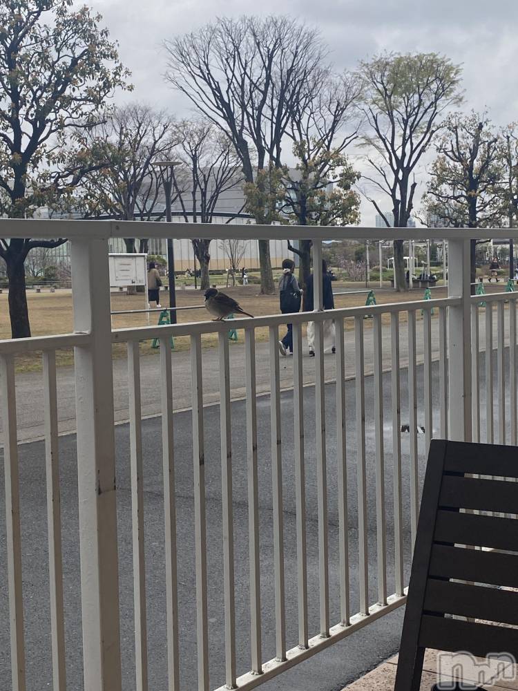 ��Ʋ����Х��顦�����K-Lounge(�����饦��) ���ޤ�3��29���̥�֥�����3��29�� 19��27ʬ�Υ֥�����