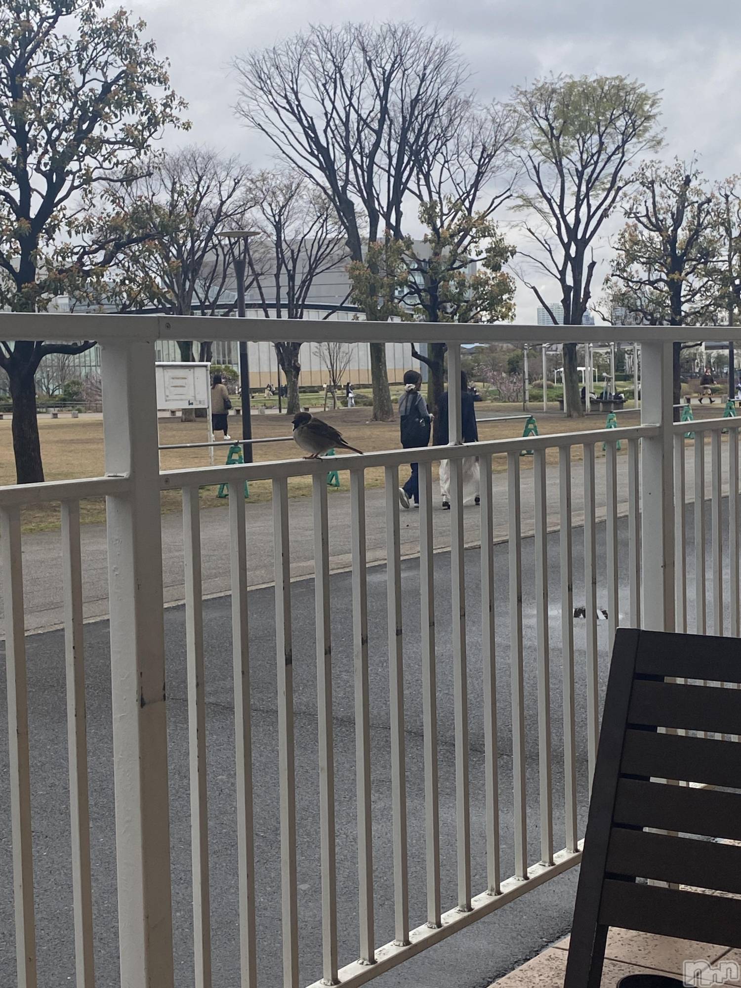 ��Ʋ����Х��顦�����K-Lounge(�����饦��) ��2026ǯ3��29���̥�֥�����3��29�� 19��27ʬ�Υ֥�����