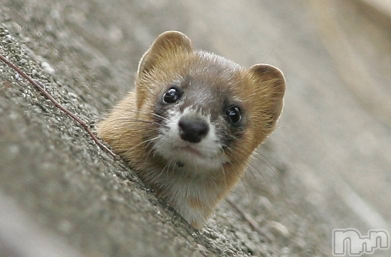 ��Ʋ����Х��顦�����K-Lounge(�����饦��) ��2026ǯ4��16���̥�֥����֥����������