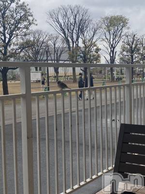 ��Ʋ����Х��顦�����K-Lounge(�����饦��) ����(21)��3��29���̥�֥�����3��29�� 19��27ʬ�Υ֥�����