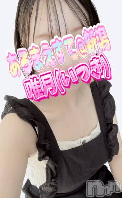 㡦ȯĥꥢ󥺥Ƥޤơ(ޥƥåȥ˥) ͣĤ(40)1020̥֥֥쥢💗