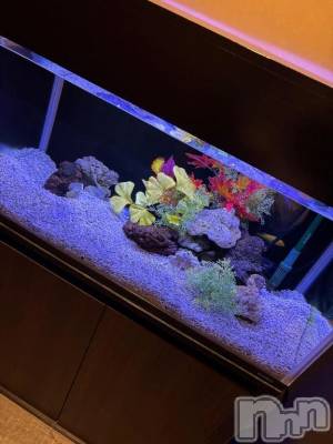 新潟デリヘル 新潟市鳥屋野潟ちゃんこ(ニイガタシトヤノガタチャンコ) あい(22)の11月26日写メブログ「たくさんみて♡♡」