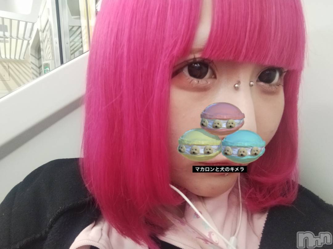 ����������ʥå��������륺�С�Girls Bar Philia(�����륺�С��ե��ꥢ) ��2026ǯ4��24���̥�֥�����22�����餷�塪�������٤��衪��