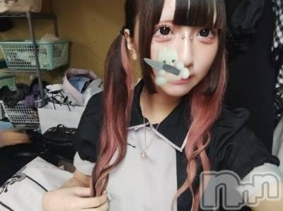 (ҥߥ) Ĺҥߥġʥå륺С Girls Bar Philia(륺Сեꥢ)ҡ
