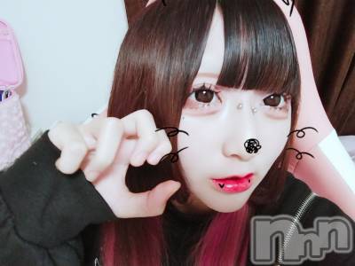 ʥå륺СGirls Bar Philia(륺Сեꥢ) 1128̥֥21餤