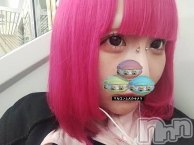 ����������ʥå��������륺�С�Girls Bar Philia(�����륺�С��ե��ꥢ) �����4��24���̥�֥�����22�����餷�塪�������٤��衪��