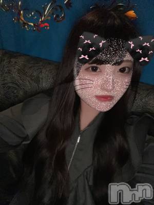 (ҥߥ) Ĺ164cmʥå륺С Girls Bar Philia(륺Сեꥢ)ҡ