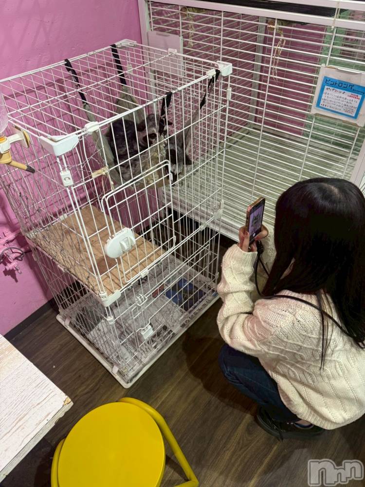 新潟デリヘルCrest(クレスト) 新人☆ゆうな(26)の2月25日写メブログ「変だと思ったら😅」