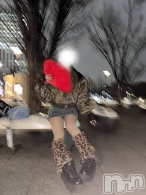 新潟デリヘル Crest(クレスト) 新人☆ゆうな(26)の12月27日写メブログ「愛機です」