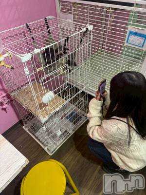 新潟デリヘル Crest(クレスト) 新人☆ゆうな(26)の2月25日写メブログ「変だと思ったら😅」