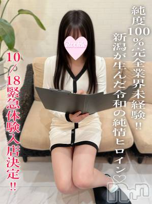 しの☆当店デビュー完全業界未経験(20) 身長160cm、スリーサイズB83(C).W56.H85。長岡デリヘル ROOKIE(ルーキー)在籍。