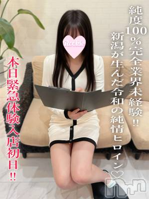 しの☆当店デビュー完全業界未経験(20) 身長160cm、スリーサイズB83(C).W56.H85。長岡デリヘル ROOKIE(ルーキー)在籍。