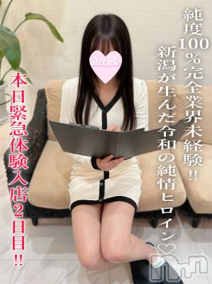 しの☆当店デビュー完全業界未経験(20) 身長160cm、スリーサイズB83(C).W56.H85。長岡デリヘル ROOKIE(ルーキー)在籍。