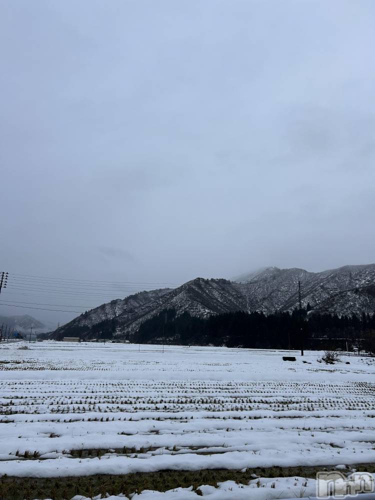 長岡デリヘルMimi(ミミ) 新人みれい★月間RANK6位★(25)の12月10日写メブログ「対応出来ずすみません😭」