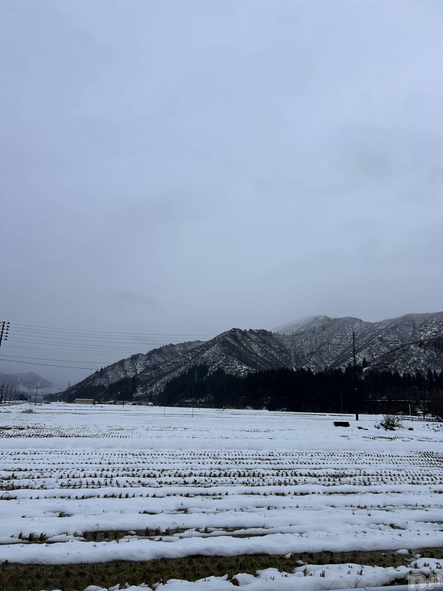 長岡デリヘルMimi(ミミ)新人みれい★月間RANK6位★(25)の2025年12月10日写メブログ「対応出来ずすみません😭」