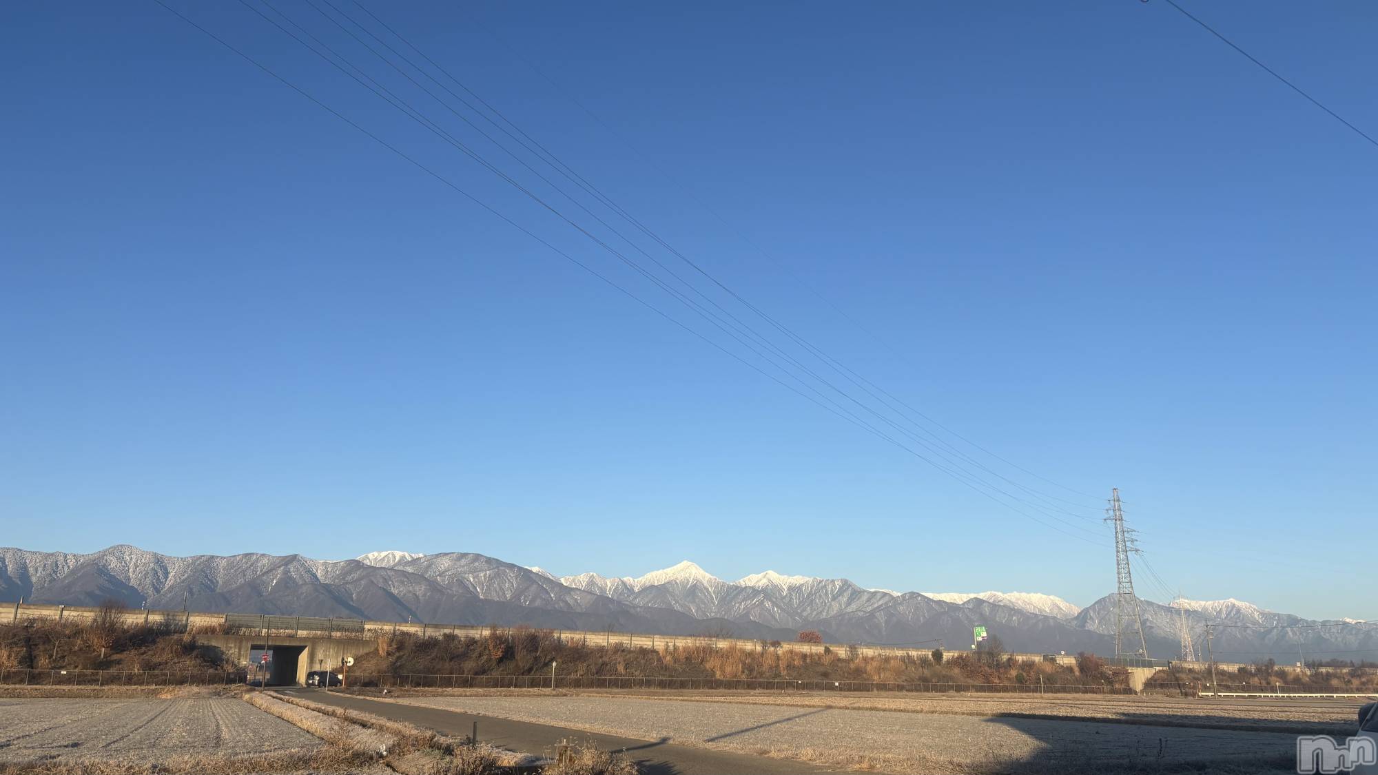 ���ܱ�������Х��顦�����CLUB FOUR LEAF(�ե����꡼��) ��2026ǯ1��2���̥�֥����֤����ޤ��Ƥ���ǤȤ��������ޤ�����