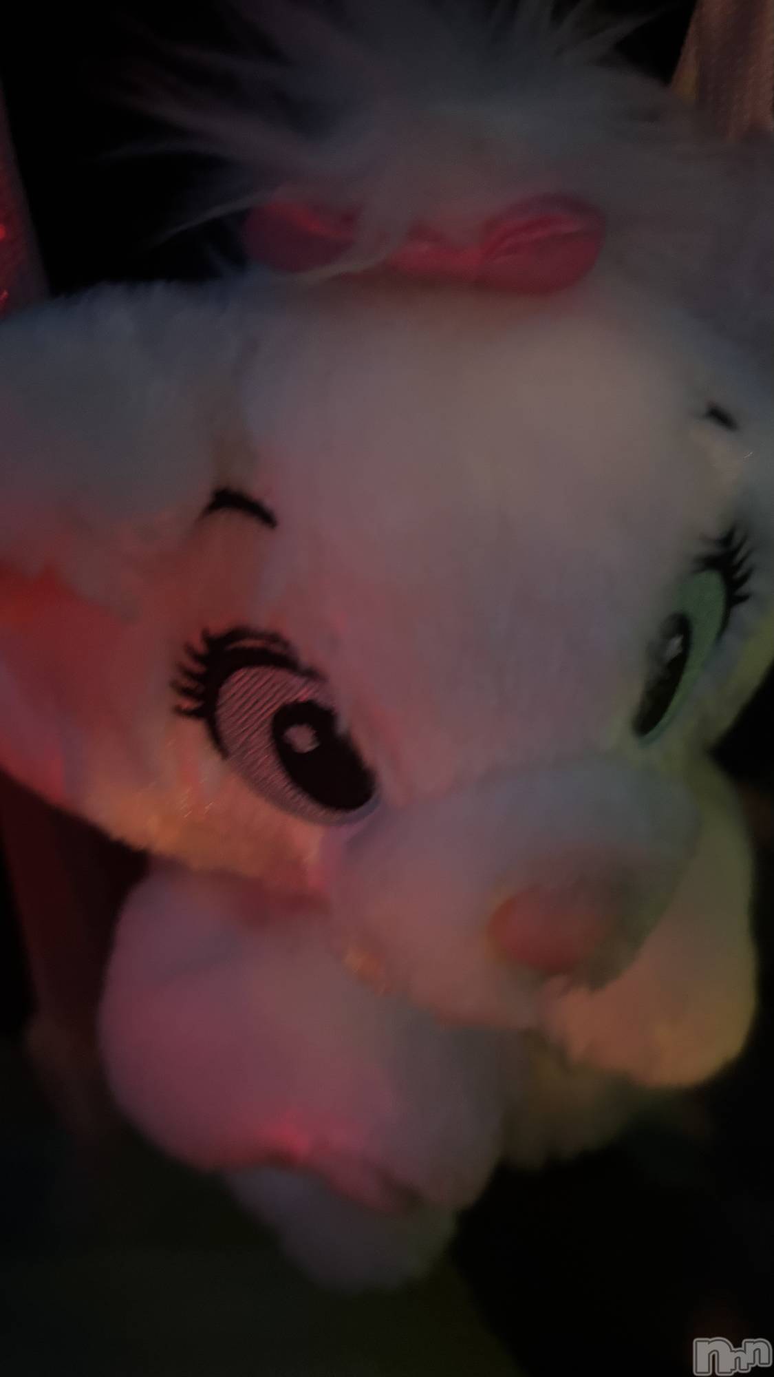 ���ܱ�������Х��顦�����CLUB FOUR LEAF(�ե����꡼��) ��2026ǯ2��28���̥�֥����֥ǥ����ˡ�🐭��