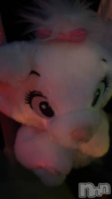 ���ܱ�������Х��顦�����CLUB FOUR LEAF(�ե����꡼��) ��ꤢ(20)��2��28���̥�֥����֥ǥ����ˡ�🐭��