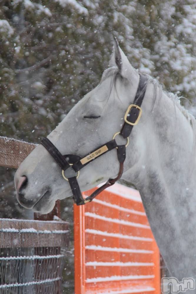 長野デリヘルStory ～人妻物語～(ストーリー) 激安☆よう(46)の11月25日写メブログ「お休みいただいてます🙃」