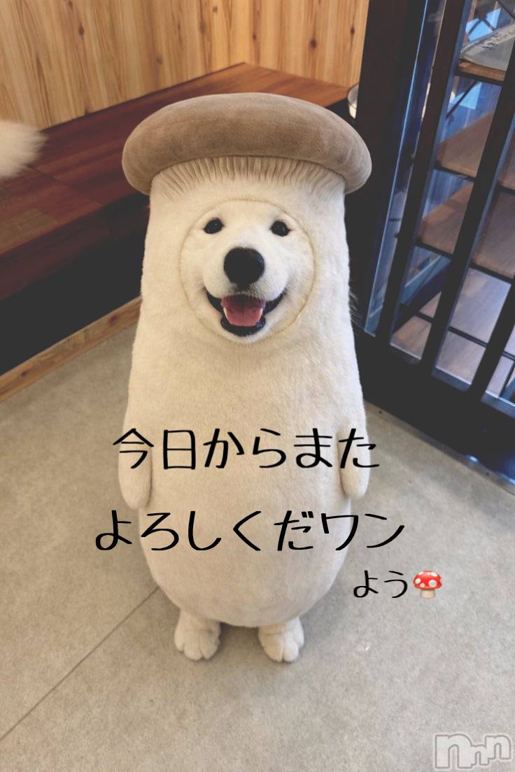 長野デリヘルStory ～人妻物語～(ストーリー)激安☆よう(46)の2026年8月17日写メブログ「ハリキッてまいります～🙌🏻」