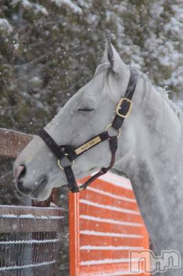 長野デリヘル Story ～人妻物語～(ストーリー) 激安☆よう(46)の11月25日写メブログ「お休みいただいてます🙃」