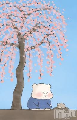 長野デリヘル Story ～人妻物語～(ストーリー) 激安☆よう(46)の2月26日写メブログ「サクラサク🌸」