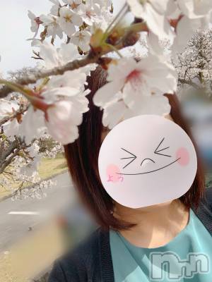 明日ありと思う心の仇桜🌸