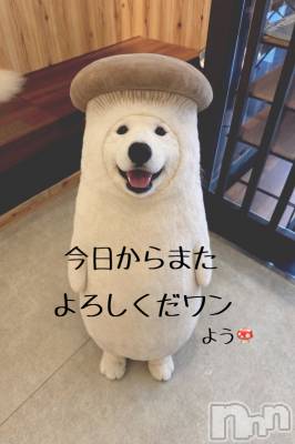 長野デリヘル Story ～人妻物語～(ストーリー) 激安☆よう(46)の写メブログ「ハリキッてまいります～🙌🏻」