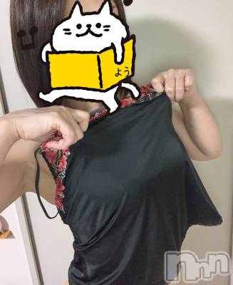 どっちだいどっちなんだい